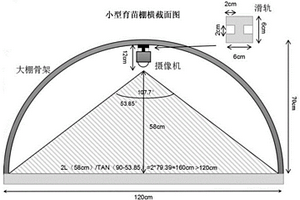 轻简防控红心莲多肉石蒜绵粉蚧的方法