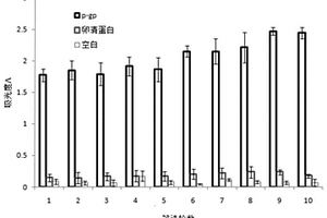 特异性结合P-糖蛋白的核酸适配体、制备方法及其应用