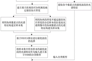 基于拉曼高光谱成像技术的鱼刺检测方法