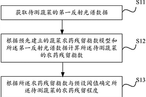 蔬菜农药残留检测方法及系统