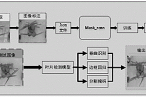 基于卷曲叶片检测的玉米干旱识别方法