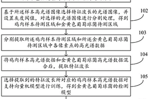 鸡肉中金黄色葡萄球菌的检测方法及系统