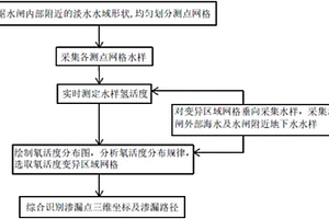 基于氡同位素的沿海进排水闸设施渗漏检测方法