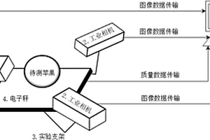 多目苹果霉心病检测装置及方法