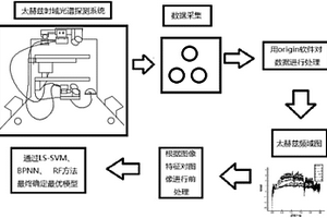 区分转基因玉米和非转基因玉米的检测方法