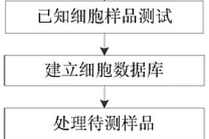 基于太赫兹近场光谱的细胞检测方法