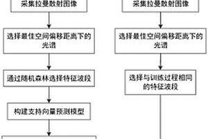 基于空间偏移拉曼光谱的虾肉新鲜度检测方法