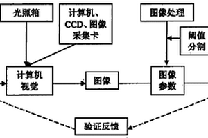 基于激光图像分析检测苹果内外品质的装置及方法