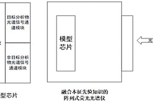 融合本征先验知识的荧光检测方法和系统