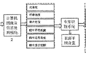 基于鳞片图文特征的织物羊绒含量检测系统及方法