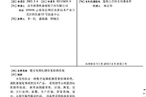 数字视频轧钢带宽检测系统