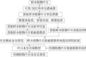 基于多光谱图像的植物叶片水分含量的检测方法及系统