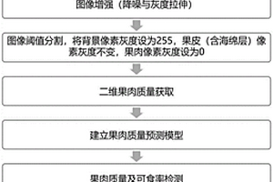 基于X射线图像的柚子果肉质量可食率检测方法