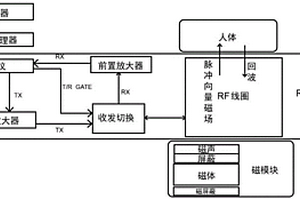 基于磁共振原理的器官脂肪无创定量检测系统