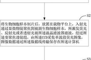 基于高光谱显微成像技术的细胞检测方法