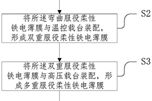 多重服役条件下柔性铁电薄膜的PFM检测方法