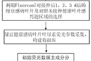 基于叶绿素荧光成像的绿豆叶斑病的早期检测方法