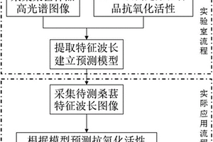 桑葚抗氧化活性的光谱检测方法