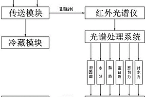 基于近红外的羊肉品质在线快速无损检测系统及方法