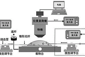 可同时实现单细胞靶向药物递送和实时探测的全光学方法