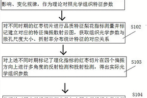 偏振散射测量红枣组织光学参数的方法及装置