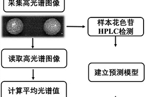 基于高光谱的杨梅中花色苷含量测定的方法