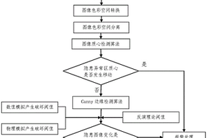 基于图像对比的土石坝渗漏实时监测与快速诊断方法