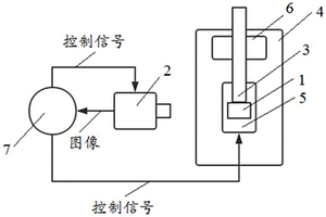 测量植物根系力学性质的设备和方法