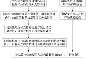 基于可见-近红外高光谱技术的脆肉皖脆度预测方法