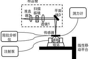 结合传感器和SS-OCT技术测试眼压的装置及应用