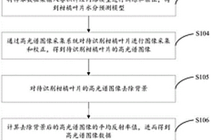 柑橘叶片含水量可视化预测方法、系统、设备及存储介质