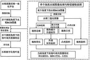 基于机器视觉的盆栽水稻卷叶程度测量方法