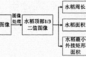基于机器视觉的大田水稻卷叶程度测量方法