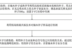 楠木种子水分含量的LF-NMR测定方法