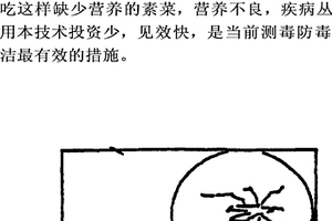蔬菜残留农药的生物速测