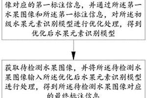 水果内部结构无损检测方法、系统、电子设备及介质