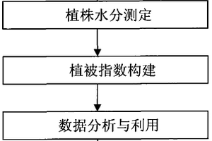 基于冠层高光谱指数的小麦植株水分监测方法