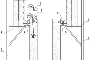 用于水生植物纯蒸腾量的测量装置