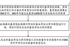 非破坏性禽蛋品质性状预测方法及系统