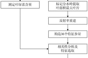 番茄叶绿素含量多光谱估测方法