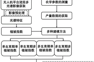 基于无人机多光谱影像的小麦产量估测方法