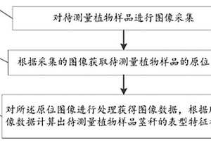植物茎秆测量方法及装置