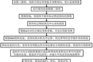 向日葵花盘尺寸测量方法