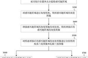 原位观测根系生长动态和土壤孔隙结构演变的方法及装置