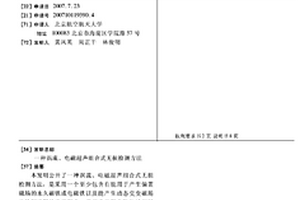 涡流、电磁超声组合式无损检测方法