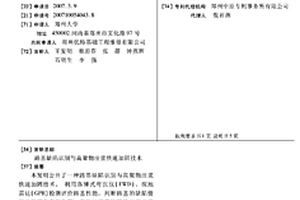 路基缺陷识别与高聚物注浆快速加固技术