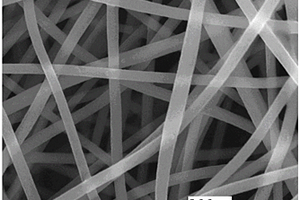 同轴静电纺丝核-壳型超微电极及其制备方法