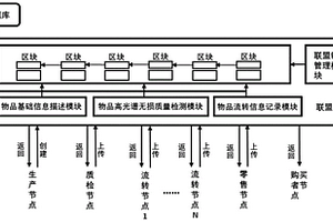 基于区块链和高光谱的物品数字身份构建系统和方法