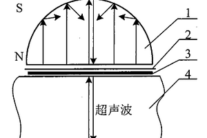 可降低磁铁回波的电磁超声换能器