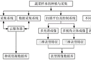 蔬菜数字化育种方法